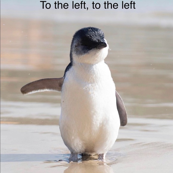 Meet your Posher, Matthew - Picture 8 of 15